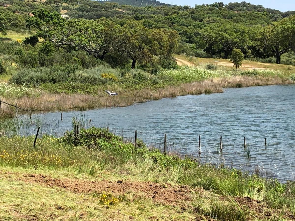 Fontes - A Essencia Do Alentejo Com Lago Privado Redondo Ngoại thất bức ảnh