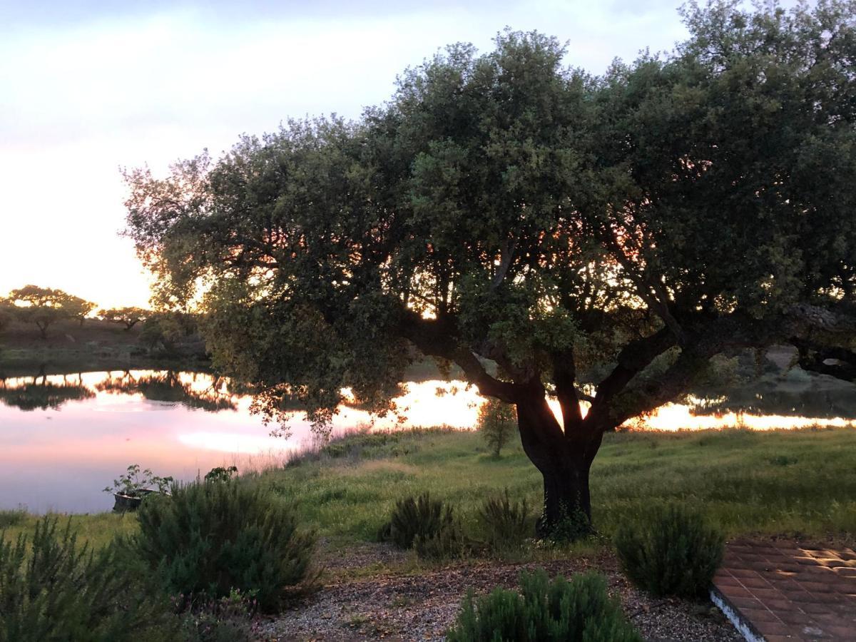 Fontes - A Essencia Do Alentejo Com Lago Privado Redondo Ngoại thất bức ảnh