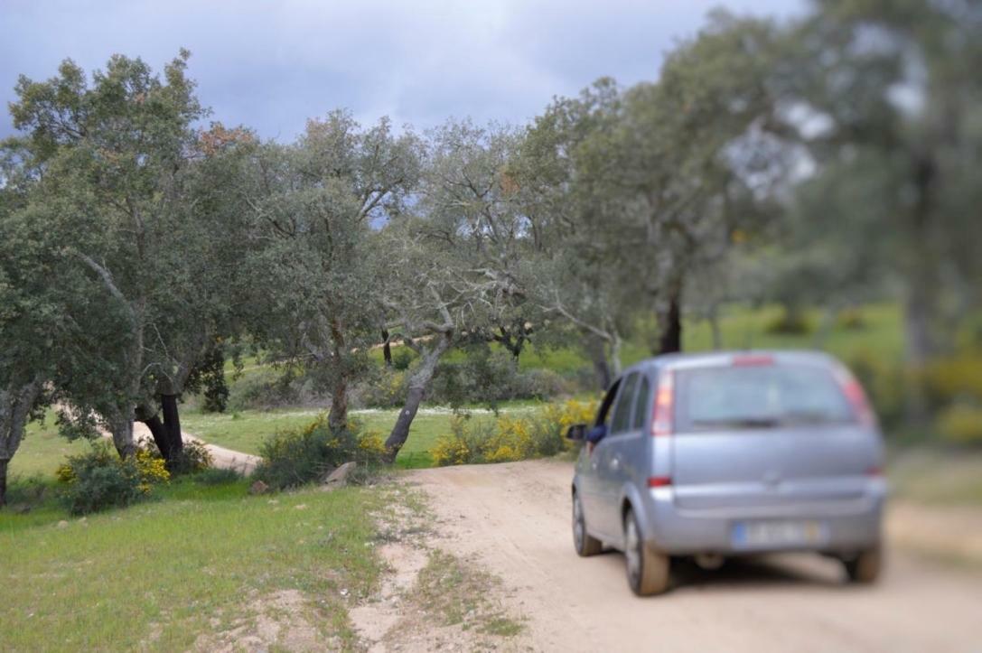 Fontes - A Essencia Do Alentejo Com Lago Privado Redondo Ngoại thất bức ảnh